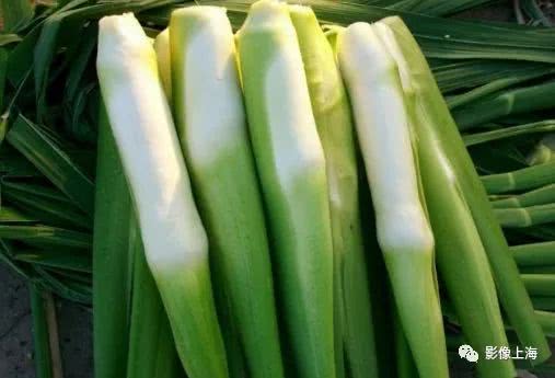 古镇美食推荐_上海古镇小吃攻略_豫园老街小吃