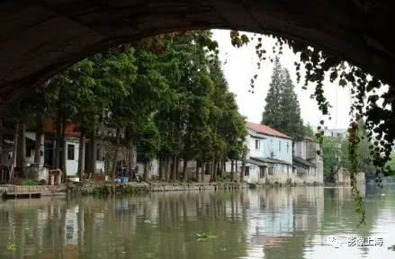 上海古镇小吃攻略_古镇美食推荐_豫园老街小吃