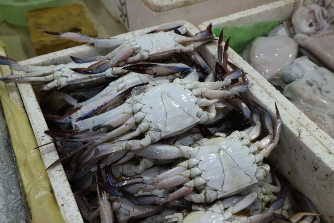 宁波舟山海鲜_东海梭子蟹价格 长宁菜市场梭子蟹购买 梭子蟹美味烧法步骤