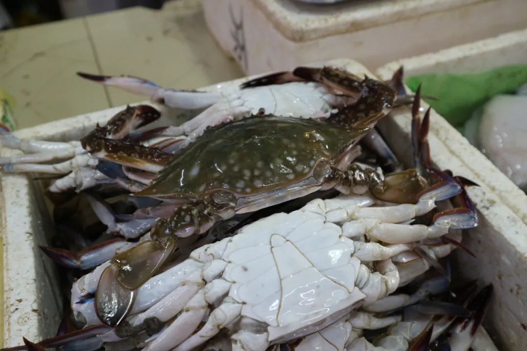 宁波舟山海鲜_东海梭子蟹价格 长宁菜市场梭子蟹购买 梭子蟹美味烧法步骤
