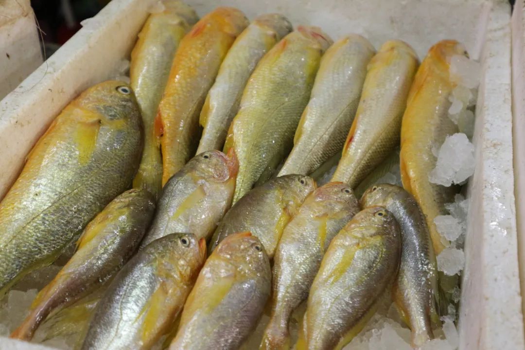 宁波舟山海鲜_东海梭子蟹价格 长宁菜市场梭子蟹购买 梭子蟹美味烧法步骤