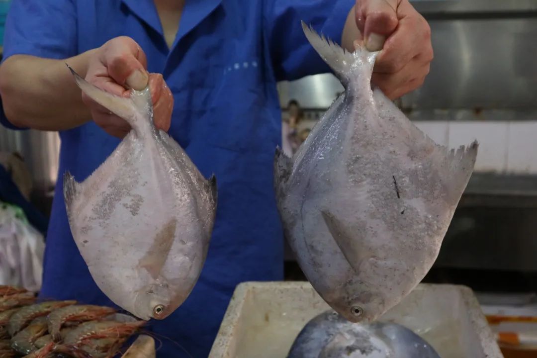 东海梭子蟹价格 长宁菜市场梭子蟹购买 梭子蟹美味烧法步骤_宁波舟山海鲜