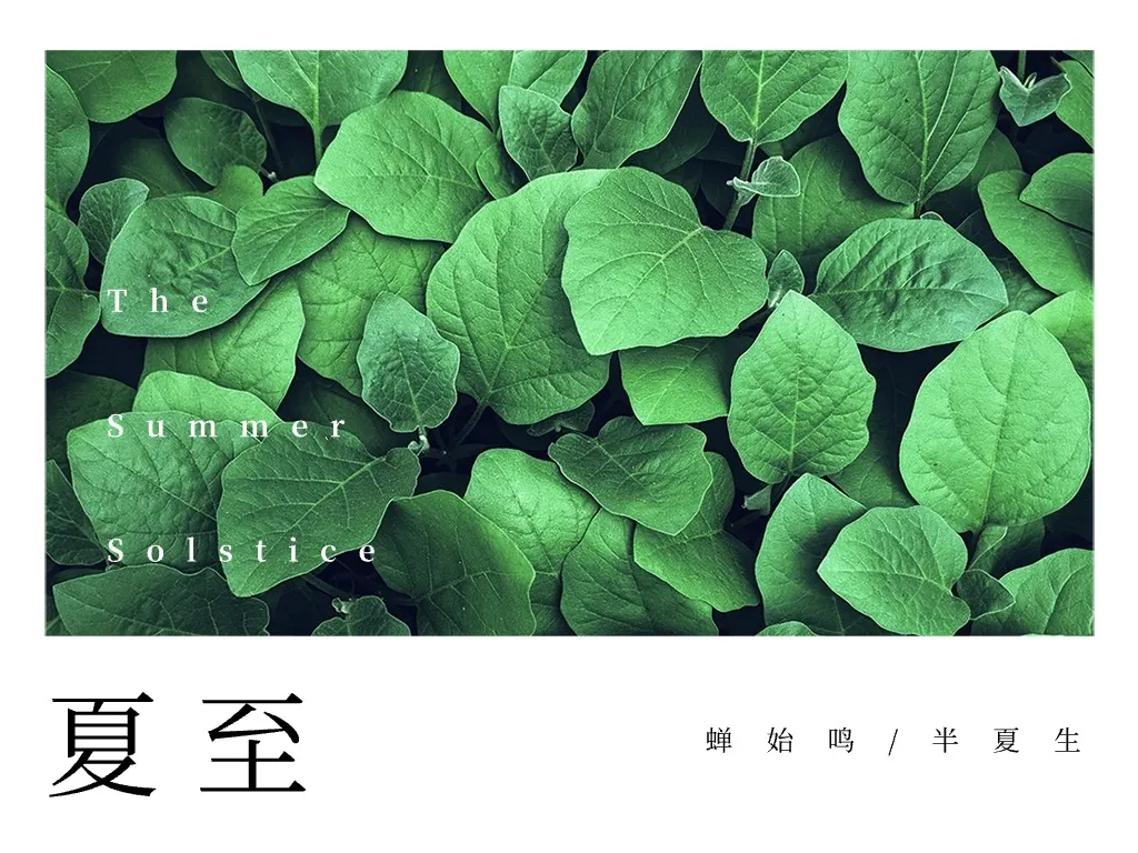 夏至养生：从饮食到运动，全面调理身体