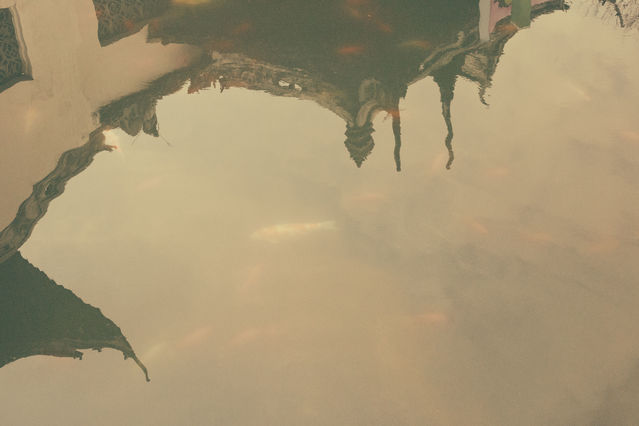 豫园老街小吃_豫园老街元宵赏花灯_九曲桥上看人头