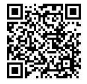 SEO实战：核心技术、优化策略、流量提升