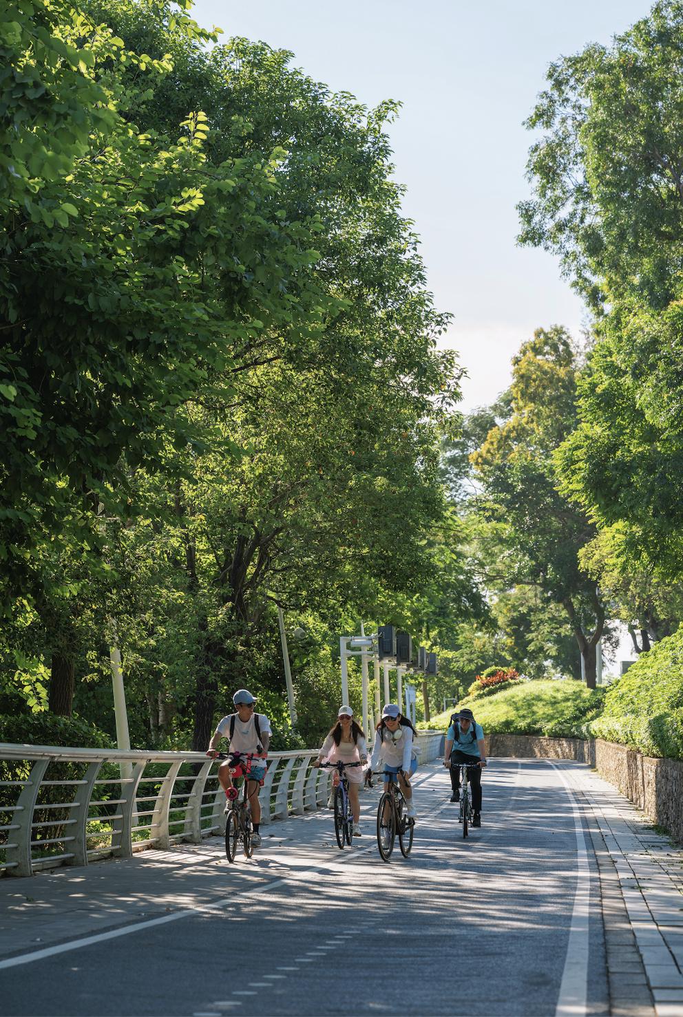 深圳休闲骑行道_深圳 武汉 自行车_山海连城骑行体验