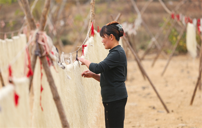 日照东港:小红薯拓宽乡村致富路(图3) 日照红薯产地价格_三庄镇红薯深加工产业链_日照东港区三庄镇红薯种植