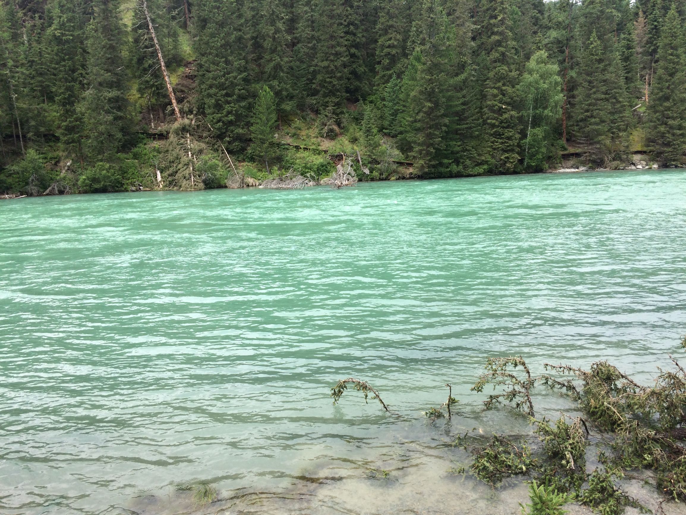 一个人旅行_独自旅行体验_一个人的旅行是辛酸的