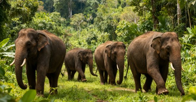 云南大理旅游路线推荐_3天2晚大理丽江泸沽湖跟团游_人均2580元纯玩无购物攻略