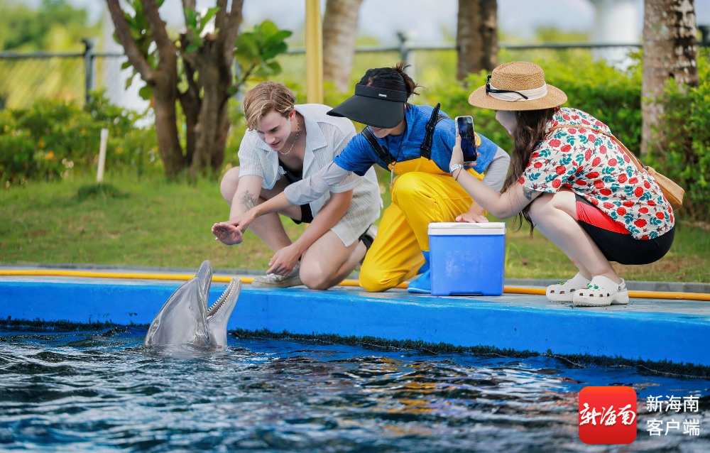 南海网、新海南客户端记者 韩星(图8) Hainan Travel国际文旅博主推广_三亚网站推广_海南旅游国际推荐官活动