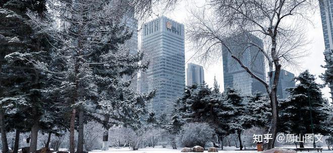 沈阳菜价每日价格表_沈阳经济社会_沈阳历史沿革