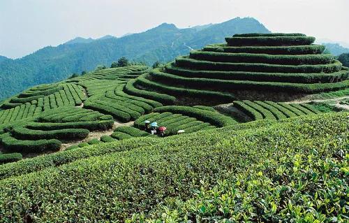 现代生活方式_什么样的生活方式_都市生活压力