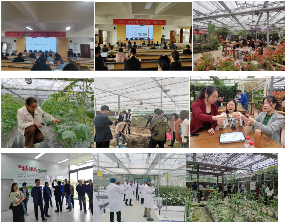 美丽乡村阳台花园建设_宁波职成校乡村振兴培训_宁波小吃培训