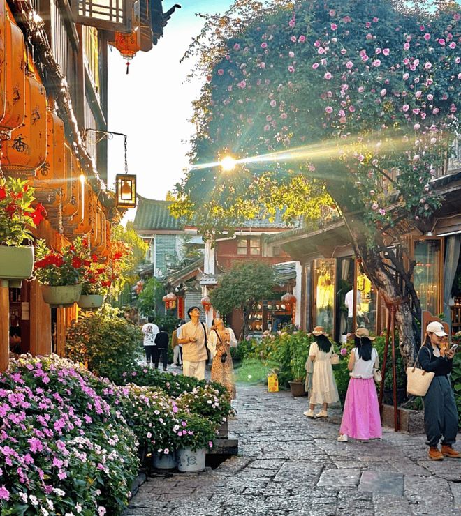 2025云南旅游最新景点攻略！五天四晚怎么玩？费用清单+最佳路线