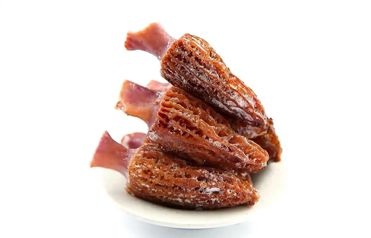 不懈努力实现家庭羊肚菌种植梦：从筹备到收获的全程攻略