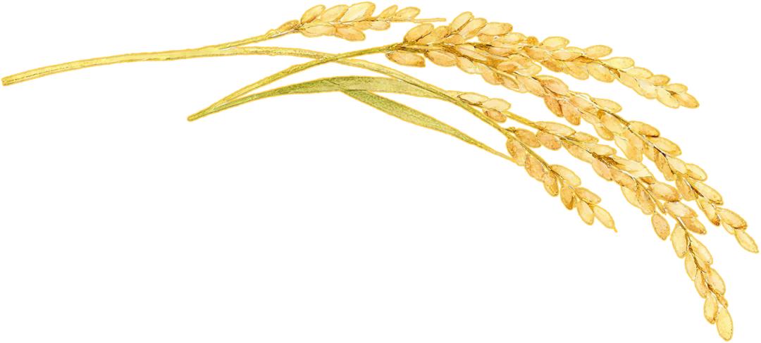 广州国际食品食材展_2025中食展广州展会 南沙区农产品展销会 南沙预制菜进出口贸易区