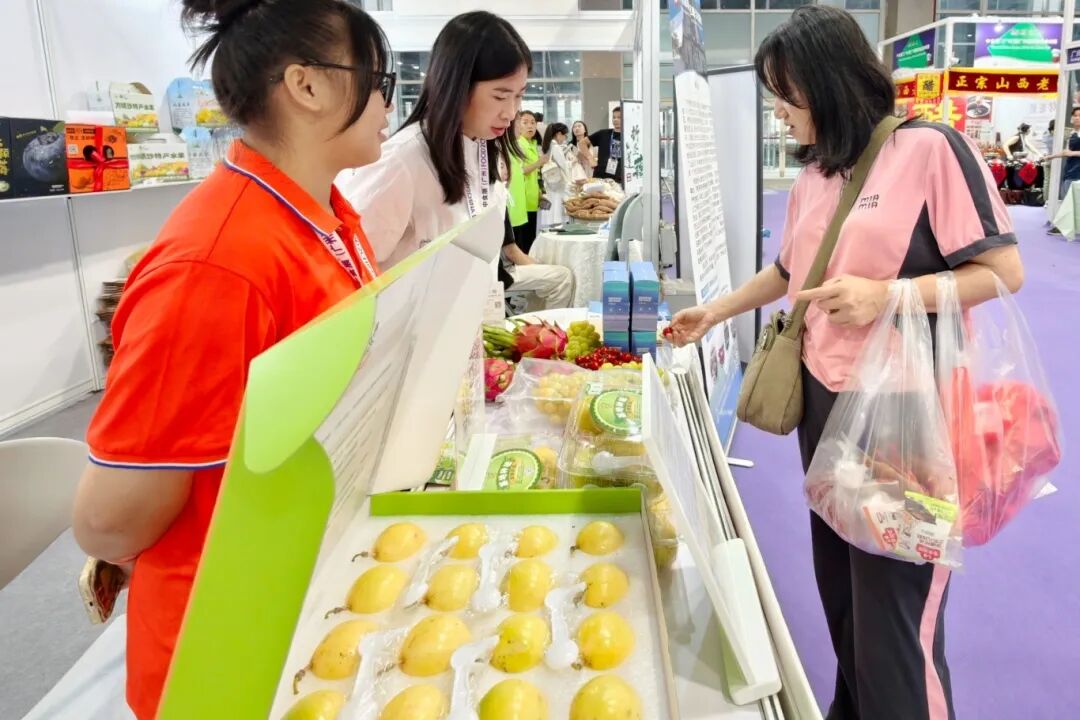 广州国际食品食材展_2025中食展广州展会 南沙区农产品展销会 南沙预制菜进出口贸易区