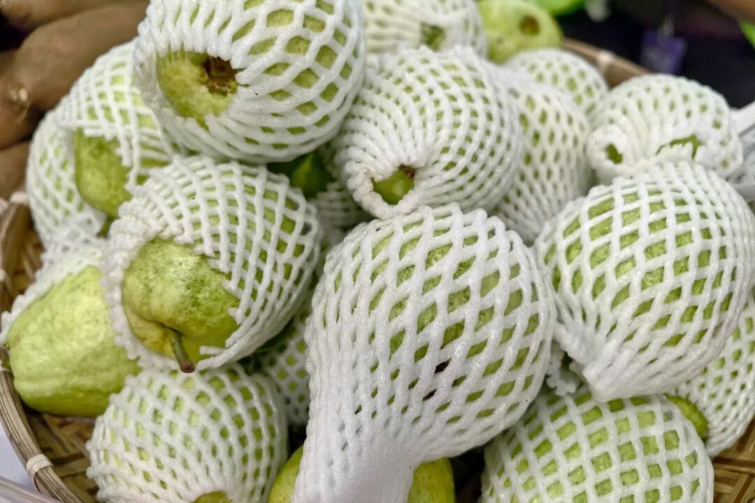 广州国际食品食材展_2025中食展广州展会 南沙区农产品展销会 南沙预制菜进出口贸易区