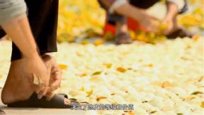 《舌尖上的中国》色彩运用技巧_舌尖上的中国的美食_纪录片镜头语言分析