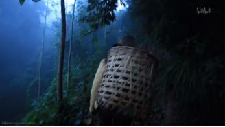 舌尖上的中国的美食_纪录片镜头语言分析_《舌尖上的中国》色彩运用技巧