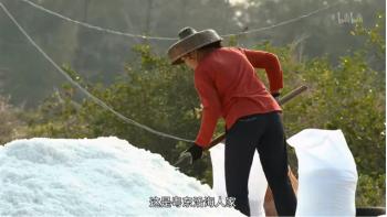 《舌尖上的中国》色彩运用技巧_舌尖上的中国的美食_纪录片镜头语言分析