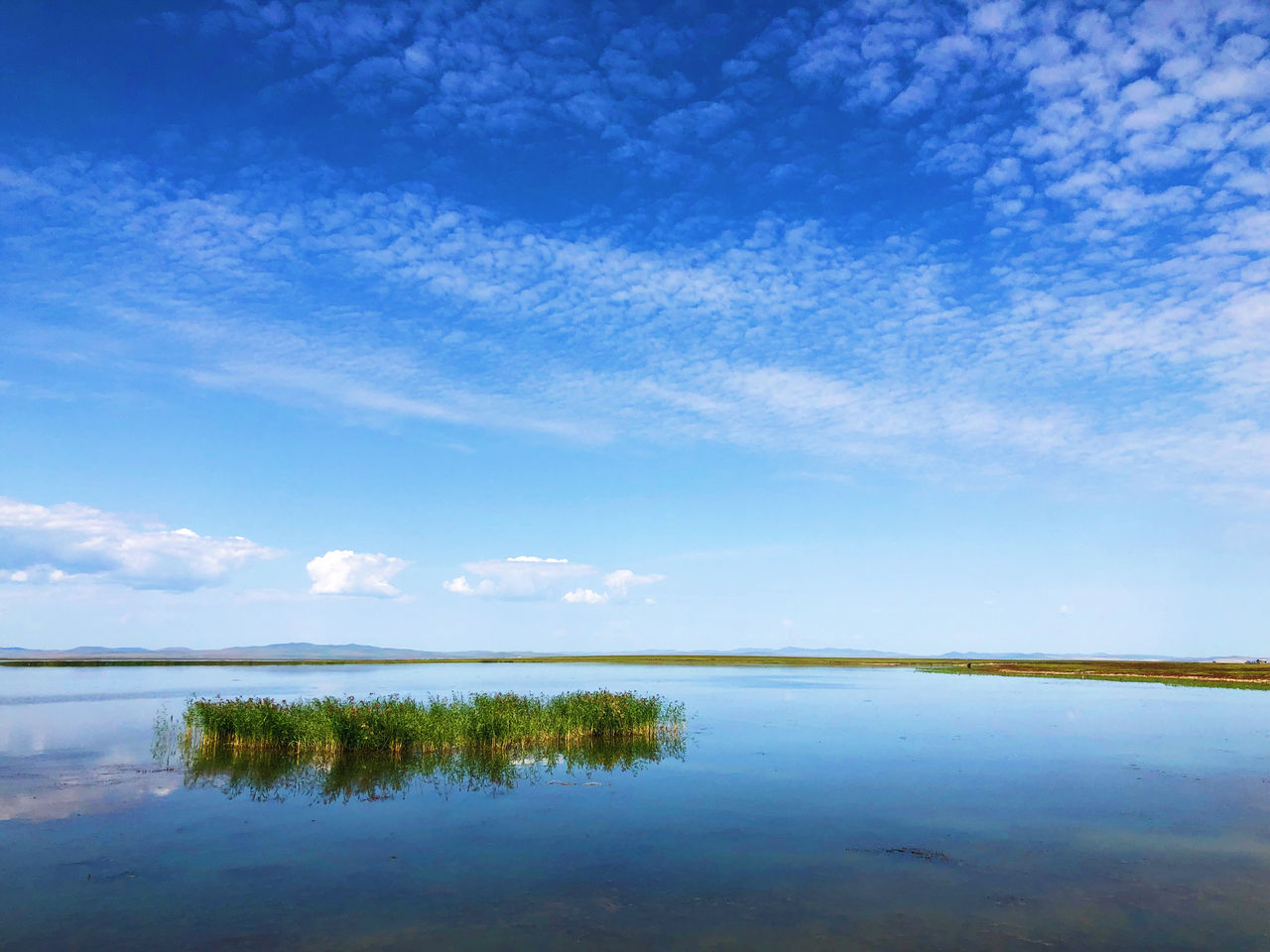 终南别业题目怎么理解_终南山诗词赏析_王维终南别业解读