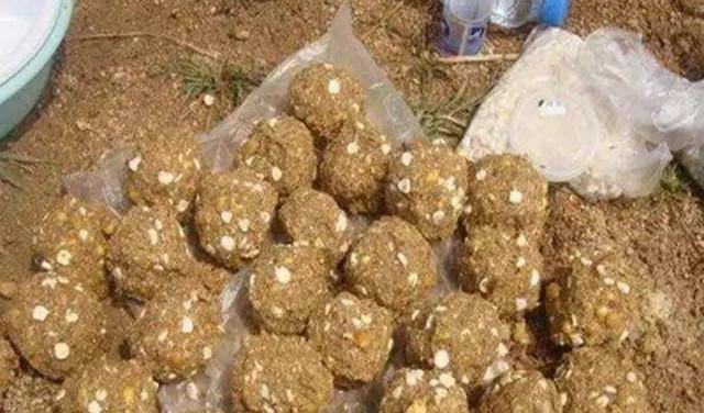 水库垂钓总没渔获,这些技巧试一试,想要空军都难(图4) 垂钓时间管理窝料准备_水库钓大鱼技巧_冷水型水库钓鱼技巧