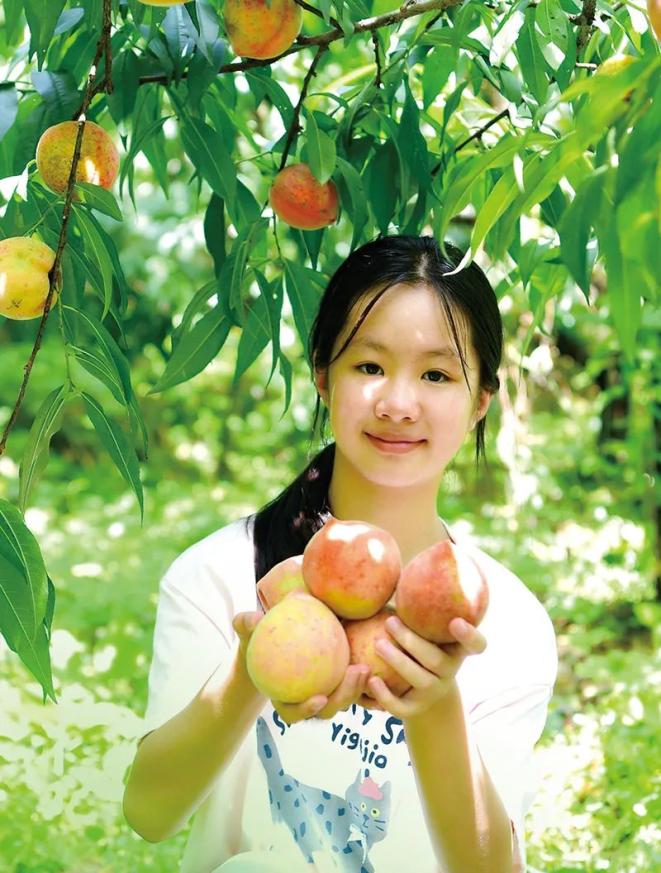 凉快一夏去浏阳丨去大围山,赴一场爽爽的夏日之约(图2) 大围山景区_大围山镇水果采摘攻略_浏河源村濠溪湾森林水世界体验