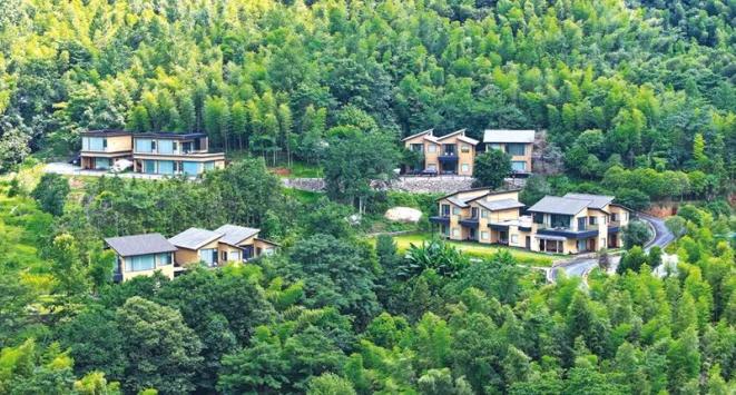 凉快一夏去浏阳丨去大围山,赴一场爽爽的夏日之约(图4) 大围山镇水果采摘攻略_浏河源村濠溪湾森林水世界体验_大围山景区