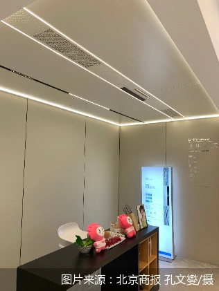 顶墙一体化定制方案_成都美菱吊顶_吊顶企业做墙面 新赛道还是死胡同