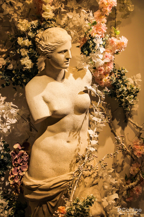 入门单反新宠来袭 佳能EOS 1500D/EOS 3000D评测(图9) wergewrag