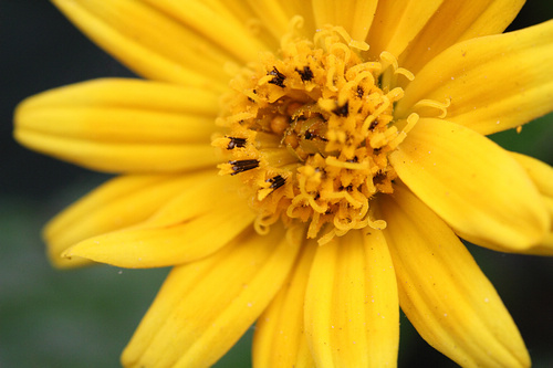 最强性能入门单反 佳能550D全国首发评测(图57) 佳能550D评测