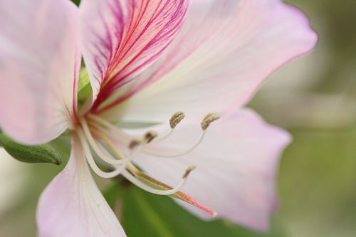 最强性能入门单反 佳能550D全国首发评测(图59) 佳能550D评测