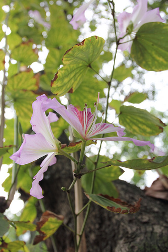 最强性能入门单反 佳能550D全国首发评测(图62) 佳能550D评测