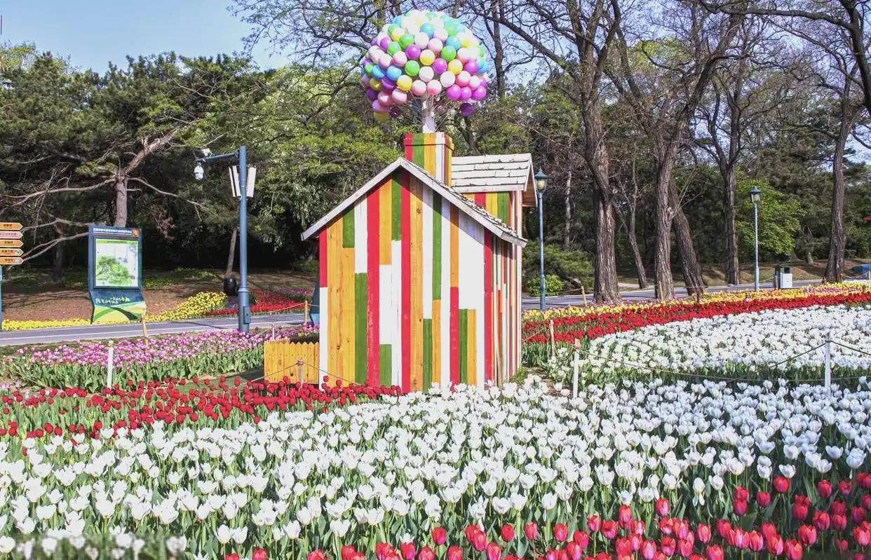 东北五A景区深度游:探寻伪满皇宫博物院与长白山之美(图7) 长白山景区建筑_长白山四季特色旅游_东北首批5A景区