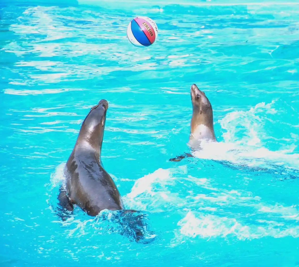 东北五A景区深度游:探寻伪满皇宫博物院与长白山之美(图8) 长白山四季特色旅游_长白山景区建筑_东北首批5A景区