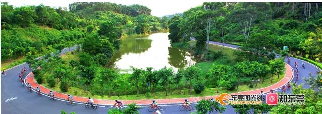 踏青、骑行、拍美照…东莞一日游攻略来了!(图14) 东莞旅游哪里最好玩_茶山南社明清古村落_东莞清明踏青攻略