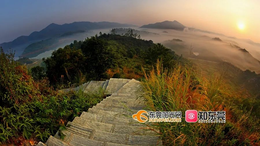 踏青、骑行、拍美照…东莞一日游攻略来了!(图16) 东莞清明踏青攻略_东莞旅游哪里最好玩_茶山南社明清古村落