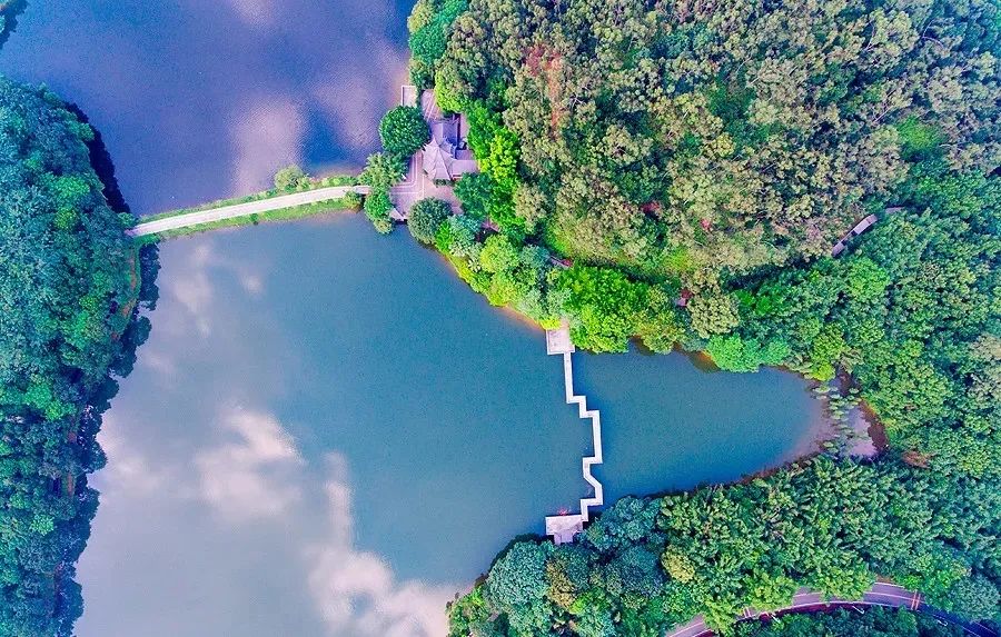 踏青、骑行、拍美照…东莞一日游攻略来了!(图18) 东莞旅游哪里最好玩_茶山南社明清古村落_东莞清明踏青攻略