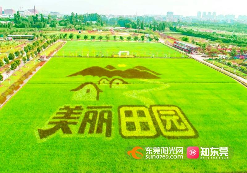 踏青、骑行、拍美照…东莞一日游攻略来了!(图7) 茶山南社明清古村落_东莞旅游哪里最好玩_东莞清明踏青攻略