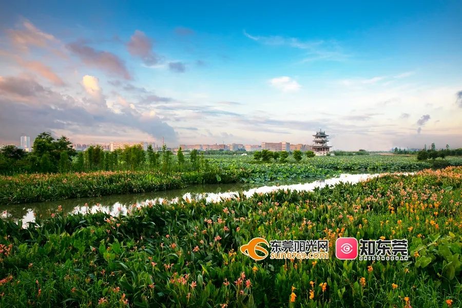 踏青、骑行、拍美照…东莞一日游攻略来了!(图8) 茶山南社明清古村落_东莞旅游哪里最好玩_东莞清明踏青攻略