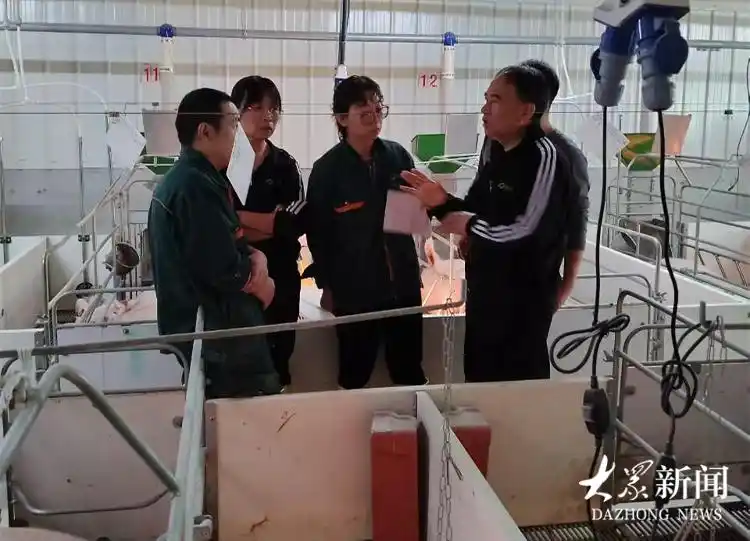 猪市入“凛冬”,“回暖”待何时?(图2) 中国生猪市场低迷原因_养猪行情分析预测_养殖户生存现状分析