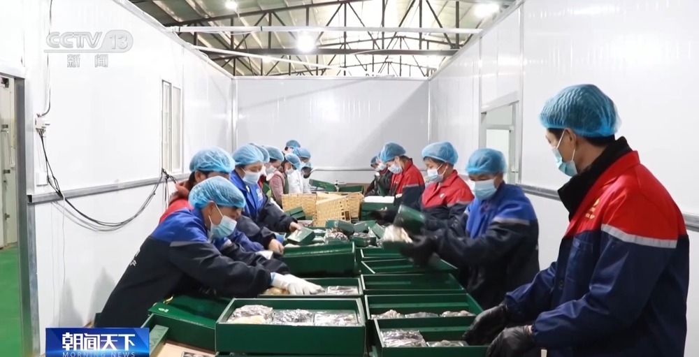 视频丨从“外出务工”到“就近就业” 农民工就业渠道更加多元(图3) 国家拓宽农民工就业渠道_订单式培训提升务工人员就业能力_建筑业农民务工常识读本