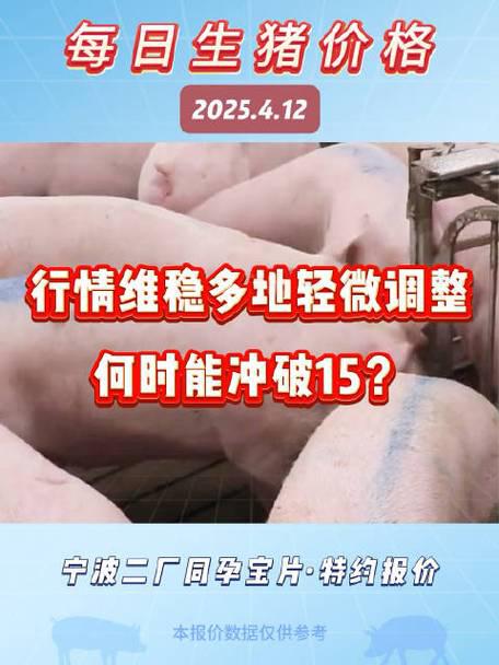 生猪价格